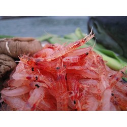 冷凍櫻花蝦乾200克