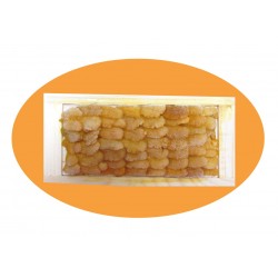急凍海膽700克(熟食用) 急凍海膽700克(熟食用)