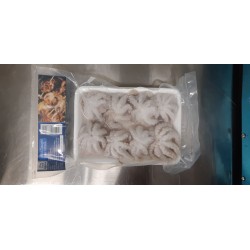 越南原隻八爪魚仔300克(6-8隻)