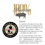 片裝西班牙伊比利 IBERICO 黑毛豬前火腿 (36 個月)