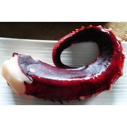 原條大章魚鬚(約300克/條)(抽真空)