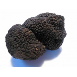 原粒急凍黑松露菌100g