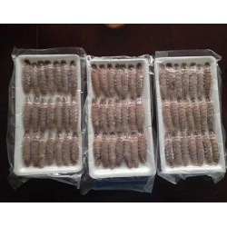 瀨尿蝦壽司肉150G(約14隻)