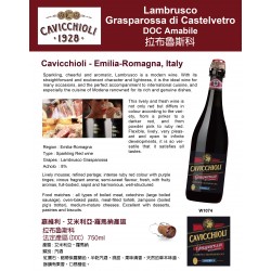 Lambrusco Grasparossa di Castelvetro DOC