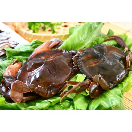 緬甸軟殼蟹1KG (約7-9隻)