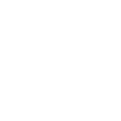 "金伯樂牌" 新鮮熱情果汁 1LT