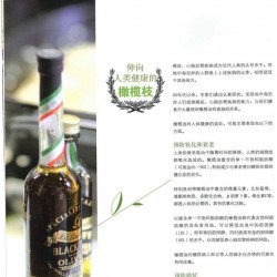 黑松橄欖油 (資料自中國飯店雜誌)