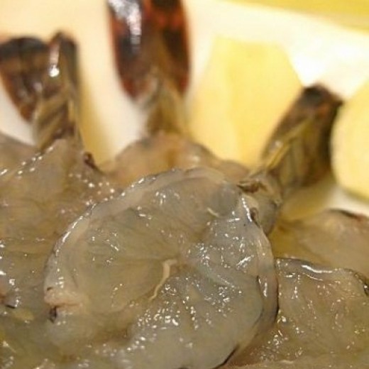 越南玻璃虎蝦刺身(約20只)
