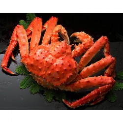 急凍智利原隻帝皇蟹 (約1.2-1.4KG) 急凍智利原隻帝皇蟹 (約1.2-1.4KG)